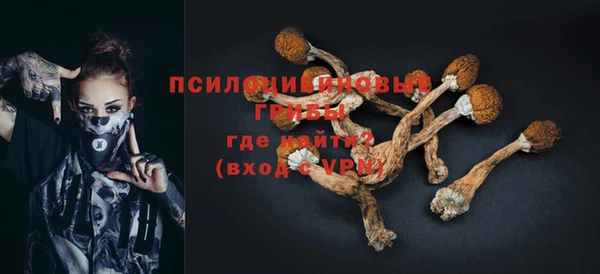 мдма Корсаков