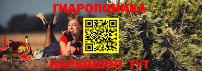 ALPHA PVP Канаш
